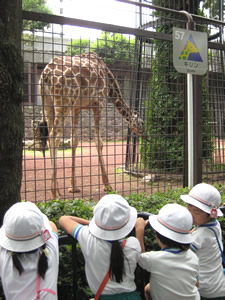 春の遠足