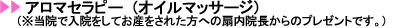 n撆̐@bA}es[iIC}bT[Wj